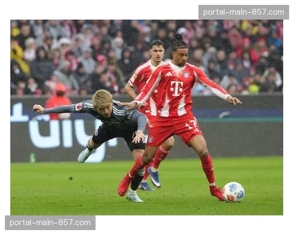 产业观察：多家德国科技初创公司竞标成为德甲官方“青少年足球数据”合作伙伴